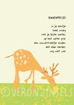 B229-010 - kaart binnenpretjes