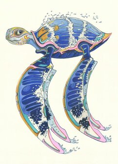 E117 - racende zeeschildpad