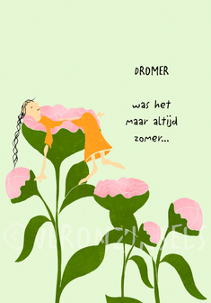 P084-010 - kaart dromer