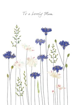 EH217 - Cornflowers &amp; Daisies To A Lovely Mum