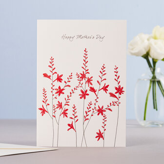 EH213 - Crocosmia Happy Mother&#039;s Day