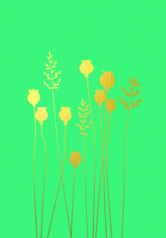 BR005 - Poppyheads &amp; Grass