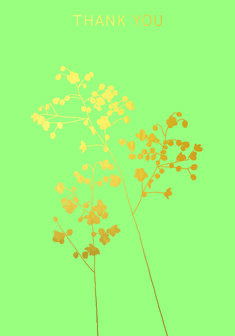 BR014 - Thalictrum Thank You