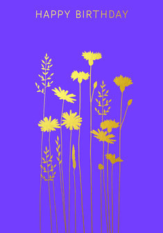 BR038 - Cornflowers &amp; Daisies Birthday