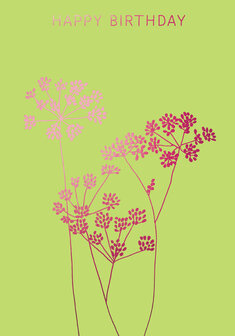 BR044 - Fennel Birthday Pink