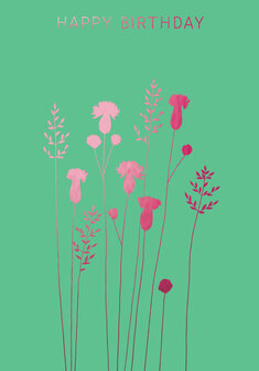 BR047 - Thistles &amp; Grass Birthday Pink