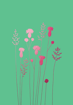 BR053 - Thistles &amp; Grass Pink