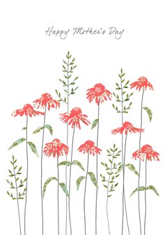 EH212 - Echinacea Happy Mother&#039;s Day