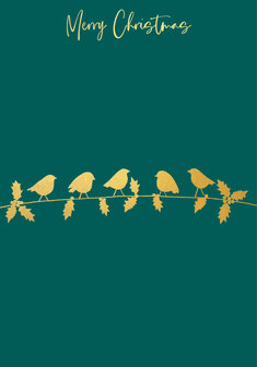 BR061 - Robins on the branch