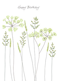 EH241 - Fennel &amp; grass birthday