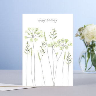 EH241 - Fennel &amp; grass birthday