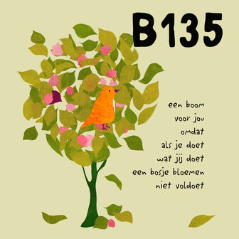 B135-081 - blokaanjemuur dankje