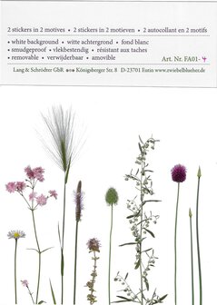 FA01-32 Sticker Allium &amp; Karotte