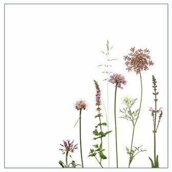 FA01-32 Sticker Allium &amp; Karotte