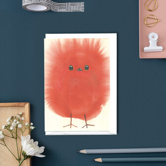 W009 - pluizig roodborst kuiken