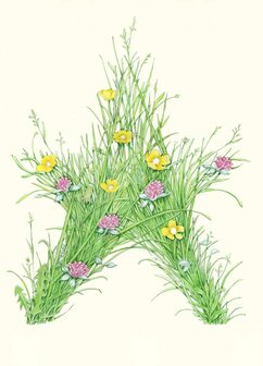 E201 - Ster