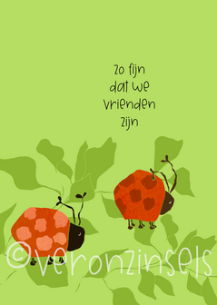 B070-010 - kaart vrienden