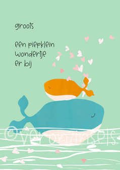B162-010 - kaart groots