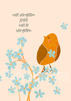 B305-010 - kaart niet vergeten