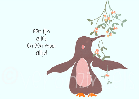 M001-013 - set eindejaarspost, moois vangen