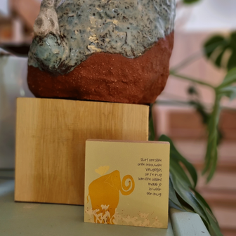 B269-081 - blokaanjemuur even niks