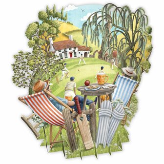 TW065 Sticky Wicket!