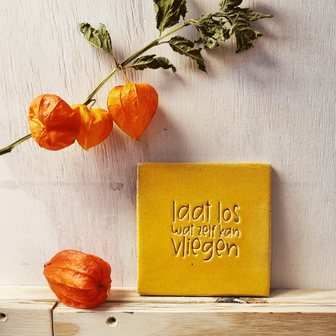 B298-168 - tegel laat los