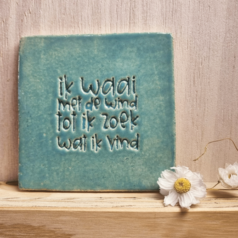 B078-168 - tegel waaien