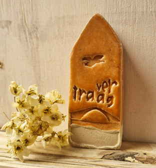 B335-173 - strandhuisje vertraag