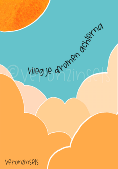 B168-091 - magneet strandschatje vlieg