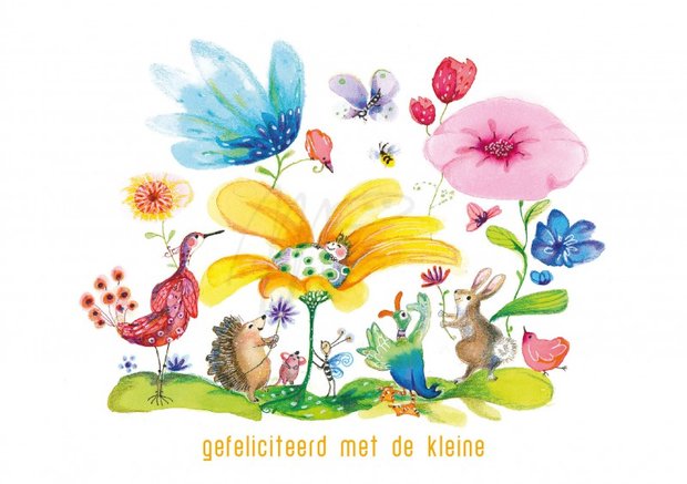 MP196 Gefeliciteerd met de kleine