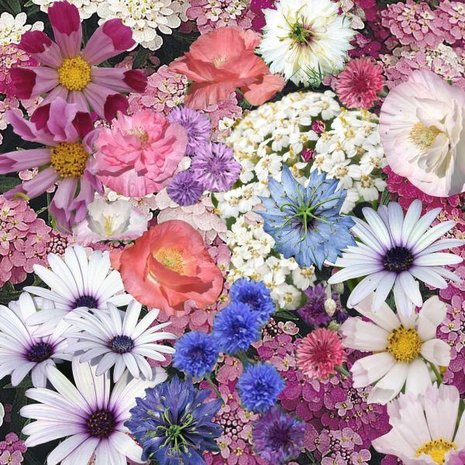 Mix bloemen