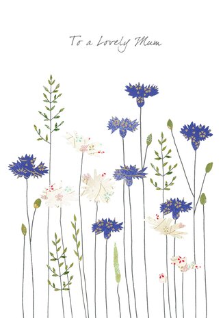 EH217 - Cornflowers & Daisies To A Lovely Mum