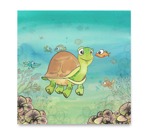 M0062 - Turtle