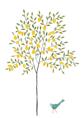 EH230 - Lemon Tree  