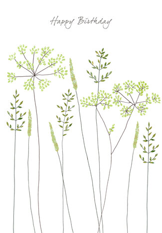 EH241 - Fennel & grass birthday