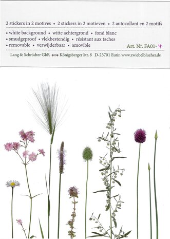 FA01-32 Sticker Allium & Karotte
