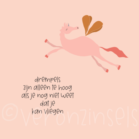 B309-081 - blokaanjemuur drempels