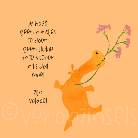 B255-081 - blokaanjemuur jij voldoet