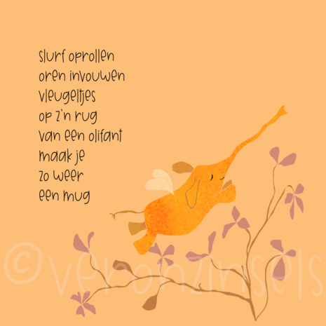 B226-081 - blokaanjemuur mugolifantje