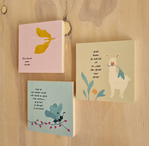 B269-081 - blokaanjemuur even niks