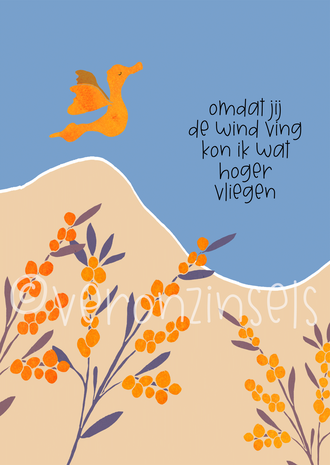 B321-010 - kaart hoger vliegen