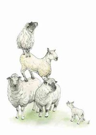 OTH005 - Sheep Stack