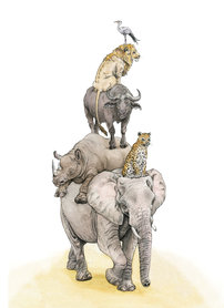 OTH051 - African animals