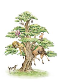 OTH054 - Animal Tree