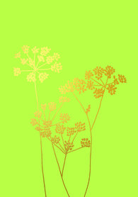 BR004 - Fennel