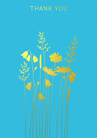 BR013 - Harebells & Daisies Thank You