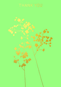 BR014 - Thalictrum Thank You