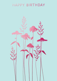 BR046 - Echinacea Birthday Pink