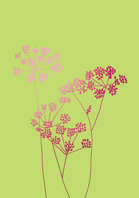 BR050 - Fennel Pink